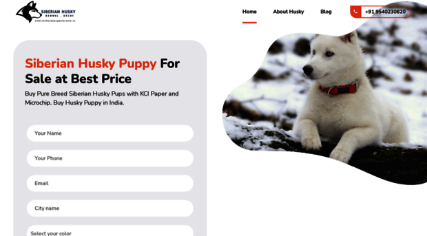 siberianhuskypuppyforsale.in