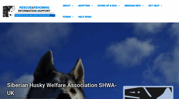 siberianhuskywelfare.co.uk