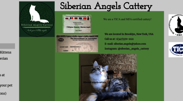 siberiankittensny.com