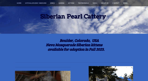 siberianpearlcattery.weebly.com