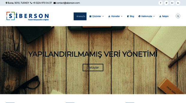 siberson.com
