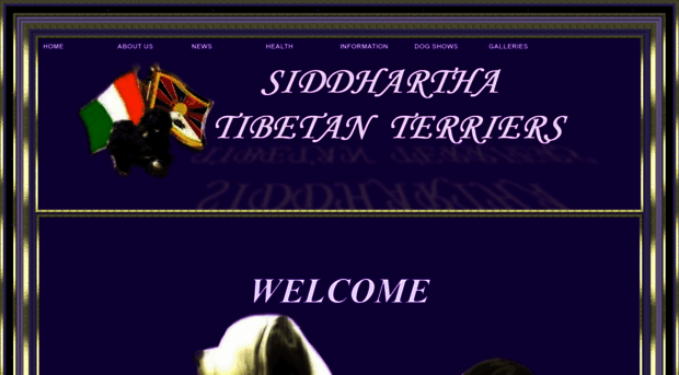 siddhartha-tt.com