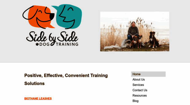 sidebysidedogtraining.com