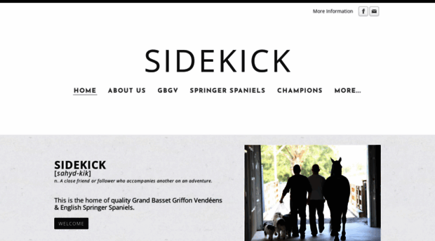 sidekickdogs.com