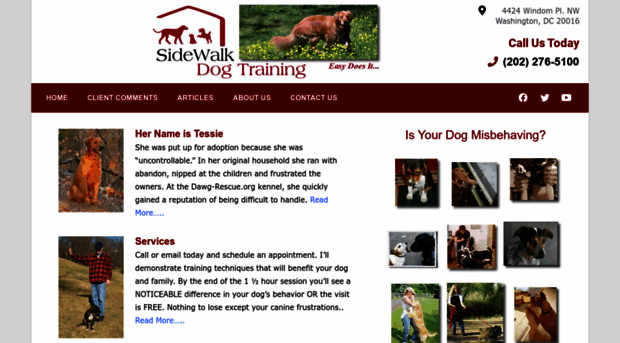 sidewalkdogtraining.com