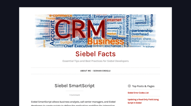 siebelfacts.wordpress.com