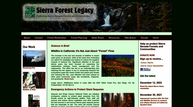 sierraforestlegacy.org