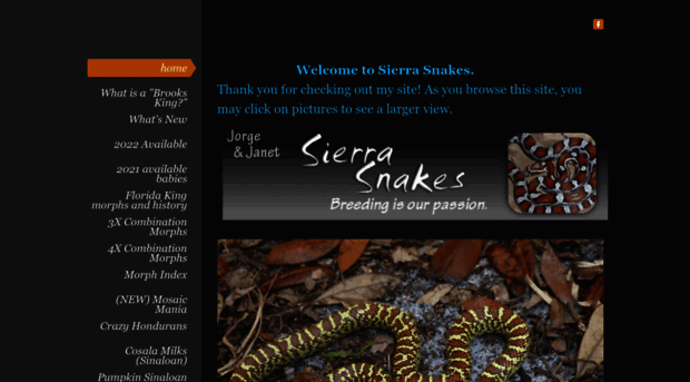 sierrasnakes.com