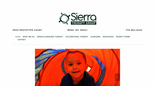 sierratherapygroup.com