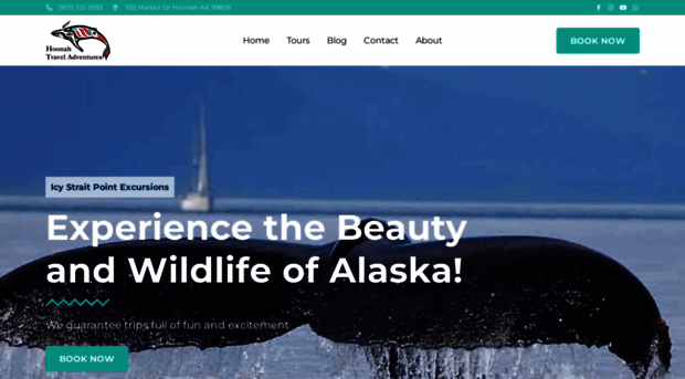 sightseeingagencyalaska.com