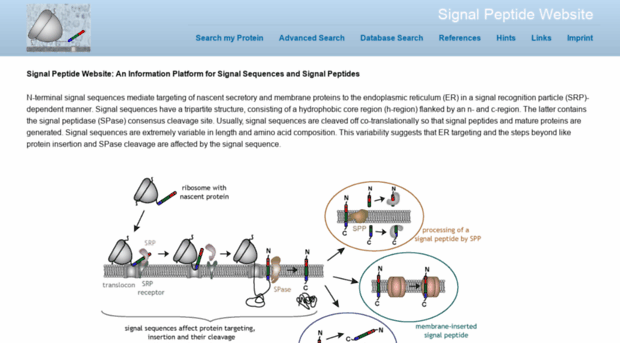 signalpeptide.de