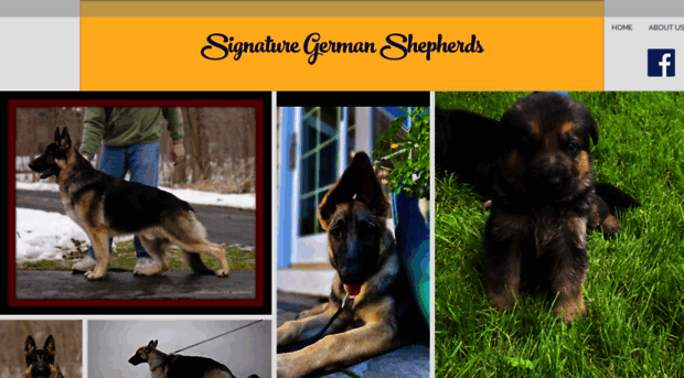 signaturegermanshepherds.com