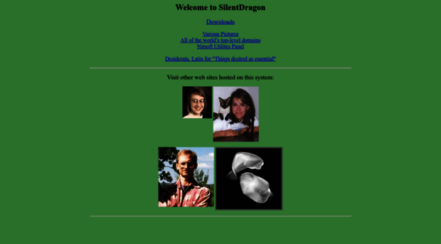 silentdragon.com