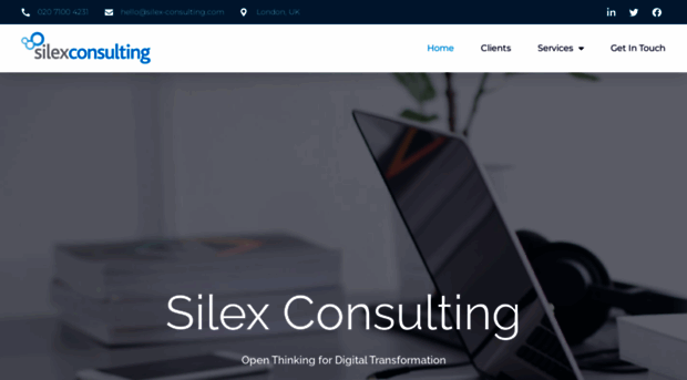 silex-consulting.com