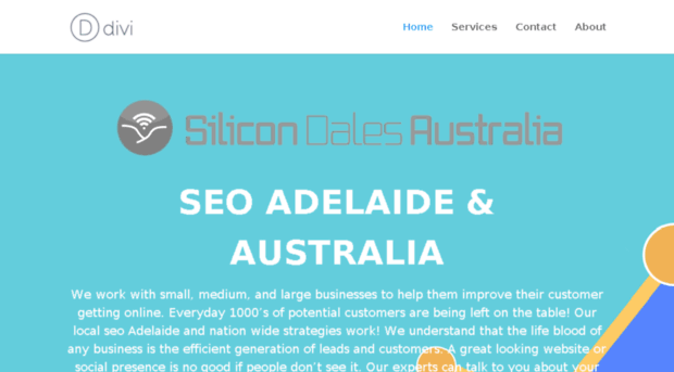 silicondales.com.au