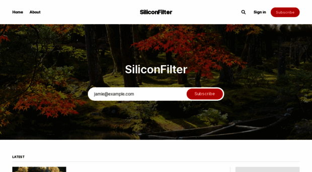 siliconfilter.com