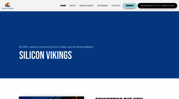 siliconvikings.com