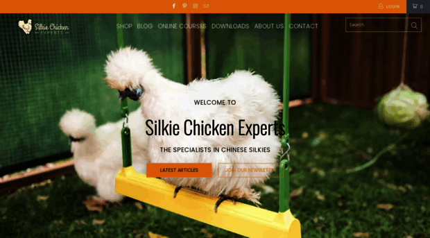 silkiechickenexperts.com