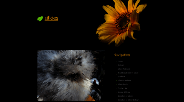 silkies.yolasite.com