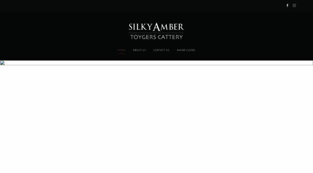 silkyamber.com