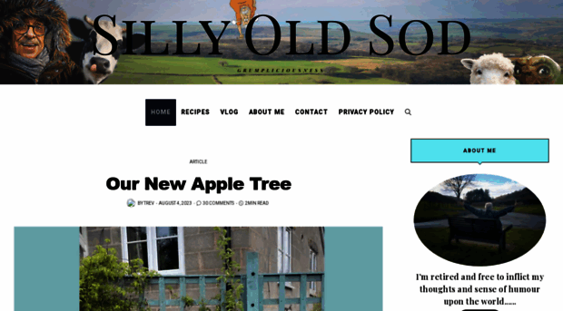 sillyoldsod.com