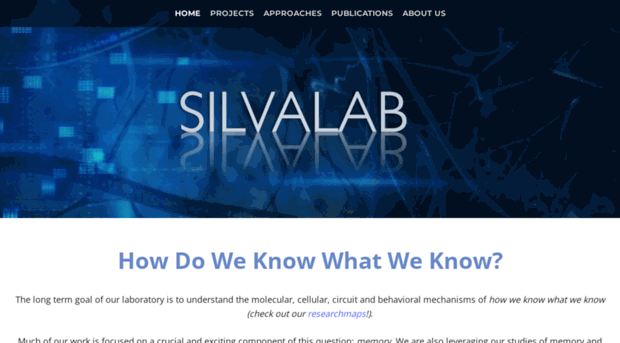 silvalab.com