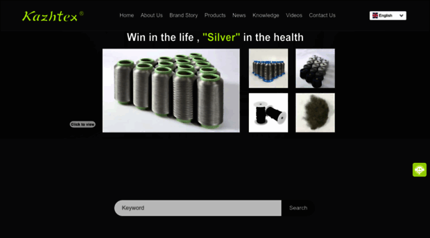 silver-fiber.com