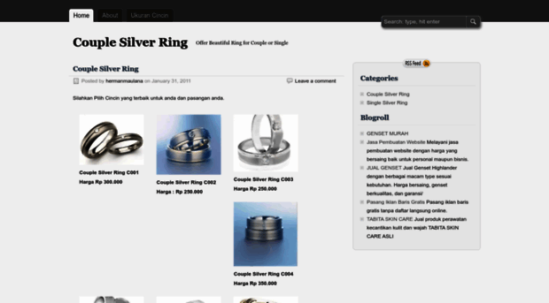 silveraccsesories.wordpress.com