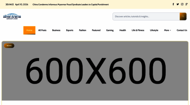 silverarenagroup.com