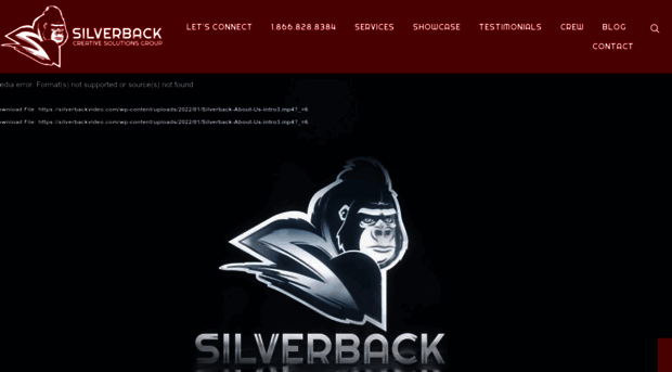 silverbackvideo.com