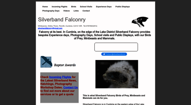 silverbandfalconry.co.uk