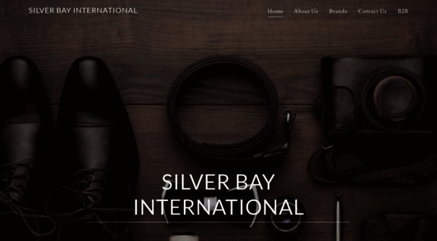 silverbayinternational.com