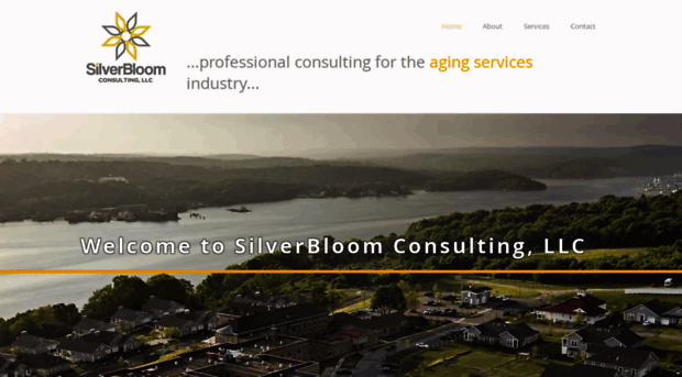 silverbloomconsulting.com