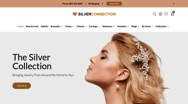 silverconnection.com