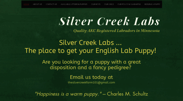 silvercreeklabs.org