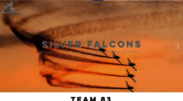 silverfalcons.co.za