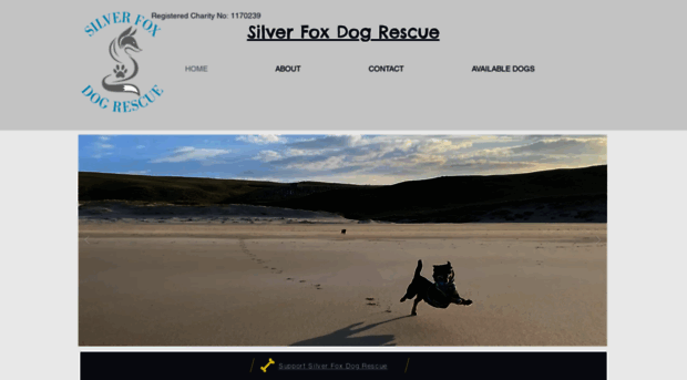 silverfoxdogrescue.com