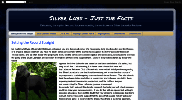 silverlabs.blogspot.com