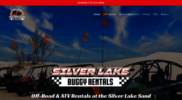 silverlakebuggys.com