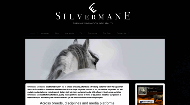 silvermane.co.za