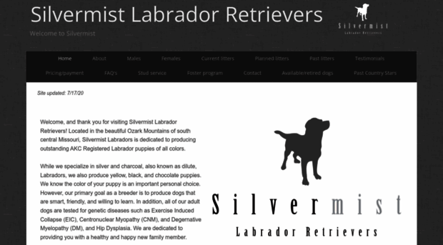 silvermistlabs.com