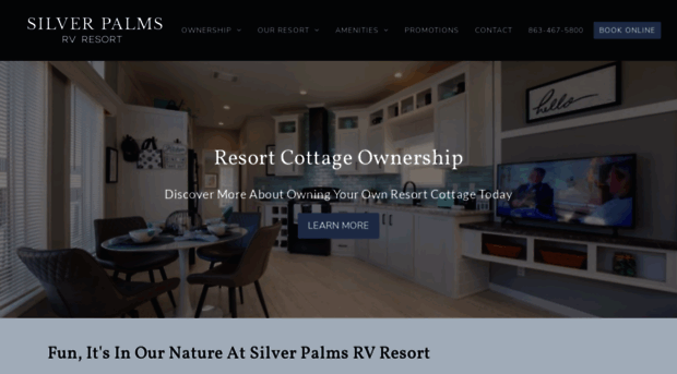 silverpalmsrv.com