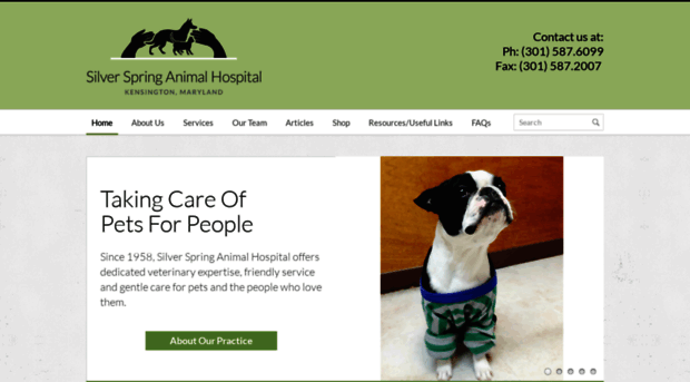 silverspringanimal.com