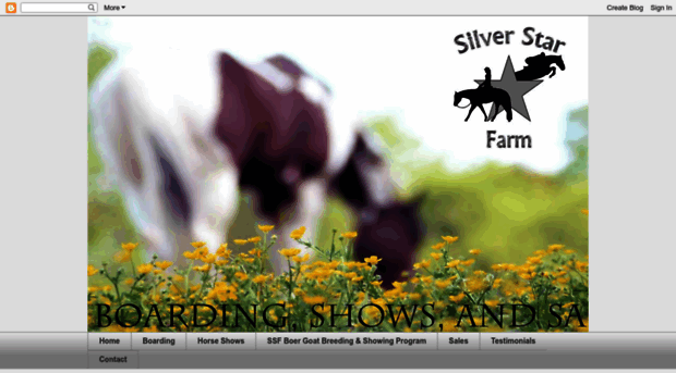 silverstarfarmonline.com