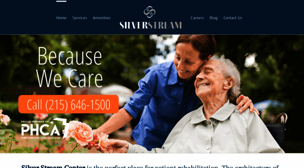 silverstreamhc.com