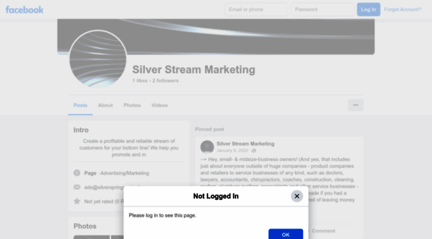 silverstreammarketing.com