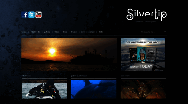 silvertipworld.com