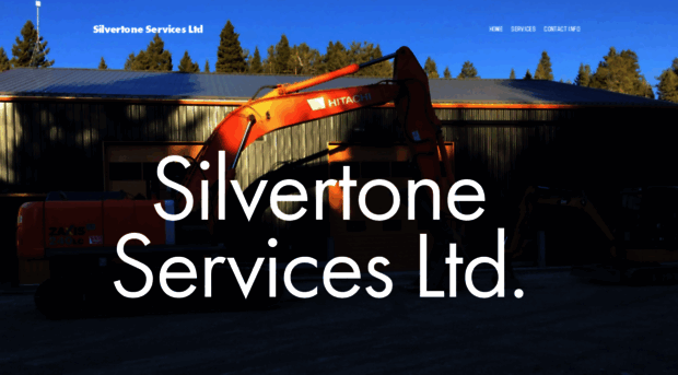 silvertoneservices.com