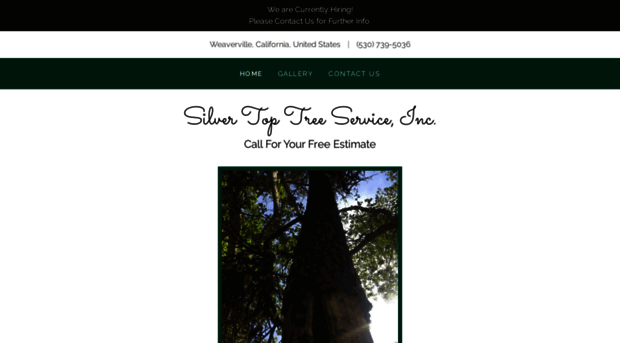 silvertoptreesvc.com