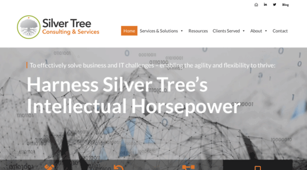 silvertreeservices.com